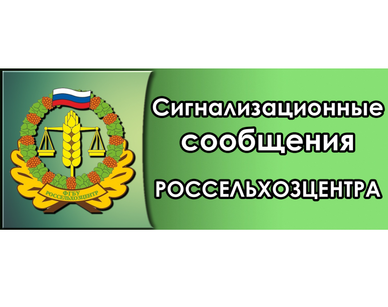 СИГНАЛИЗАЦИОННОЕ СООБЩЕНИЕ РОССЕЛЬХОЗЦЕНТРА "ХЛОПКОВАЯ СОВКА".