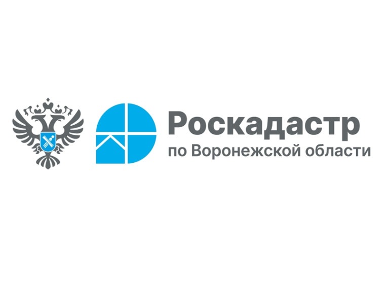 Изменился срок оплаты сведений из реестра недвижимости.